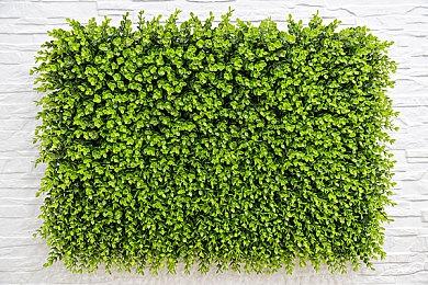 《战锤40K：战争黎明 终极版》8月15日发售